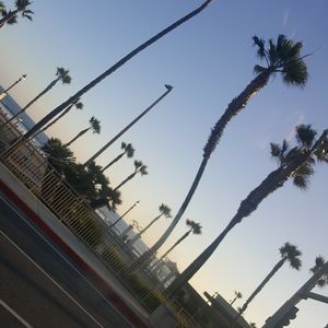 Meet your Posher, Oswaldo